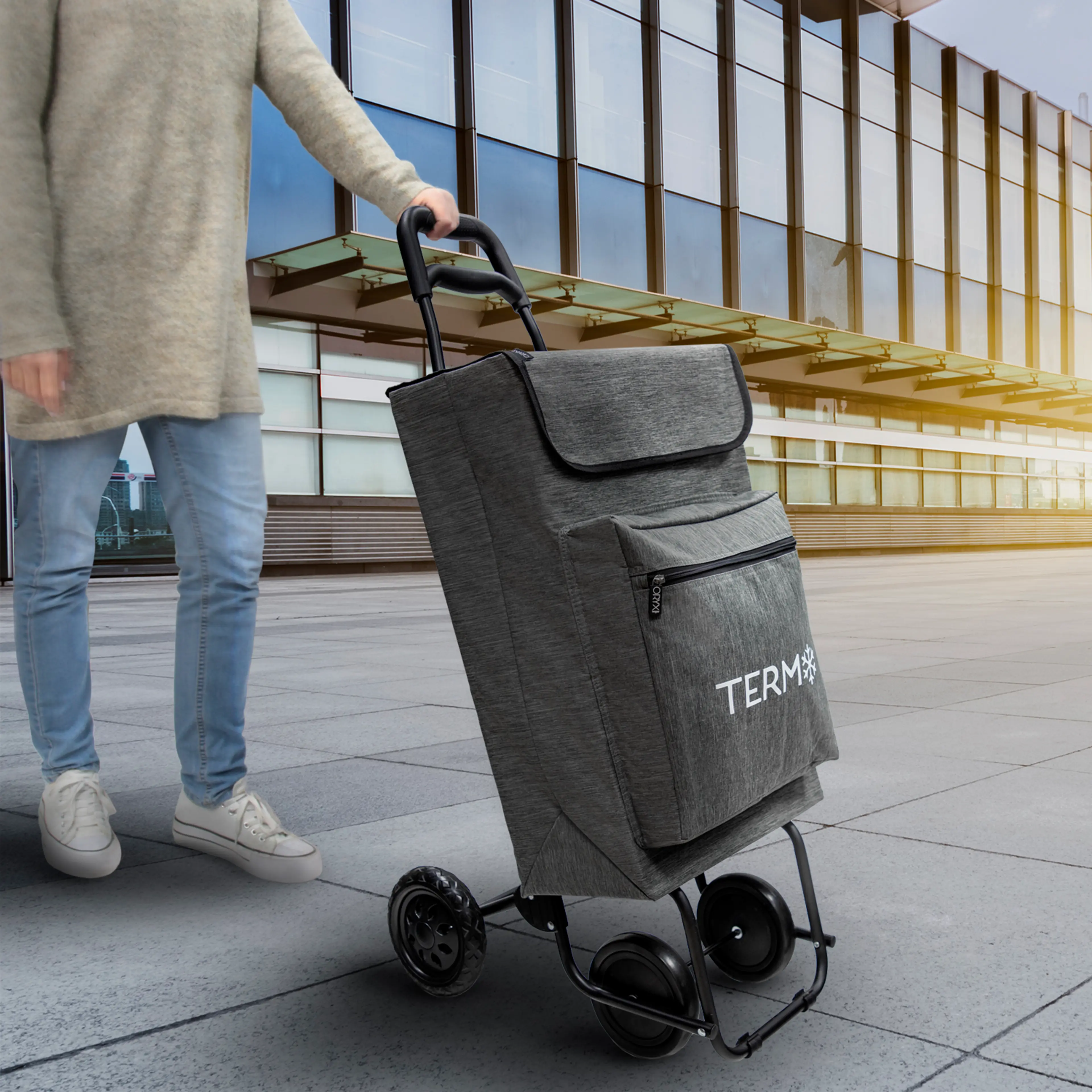 CARRO COMPRA 4 RUEDAS CON BOLSA TÉR