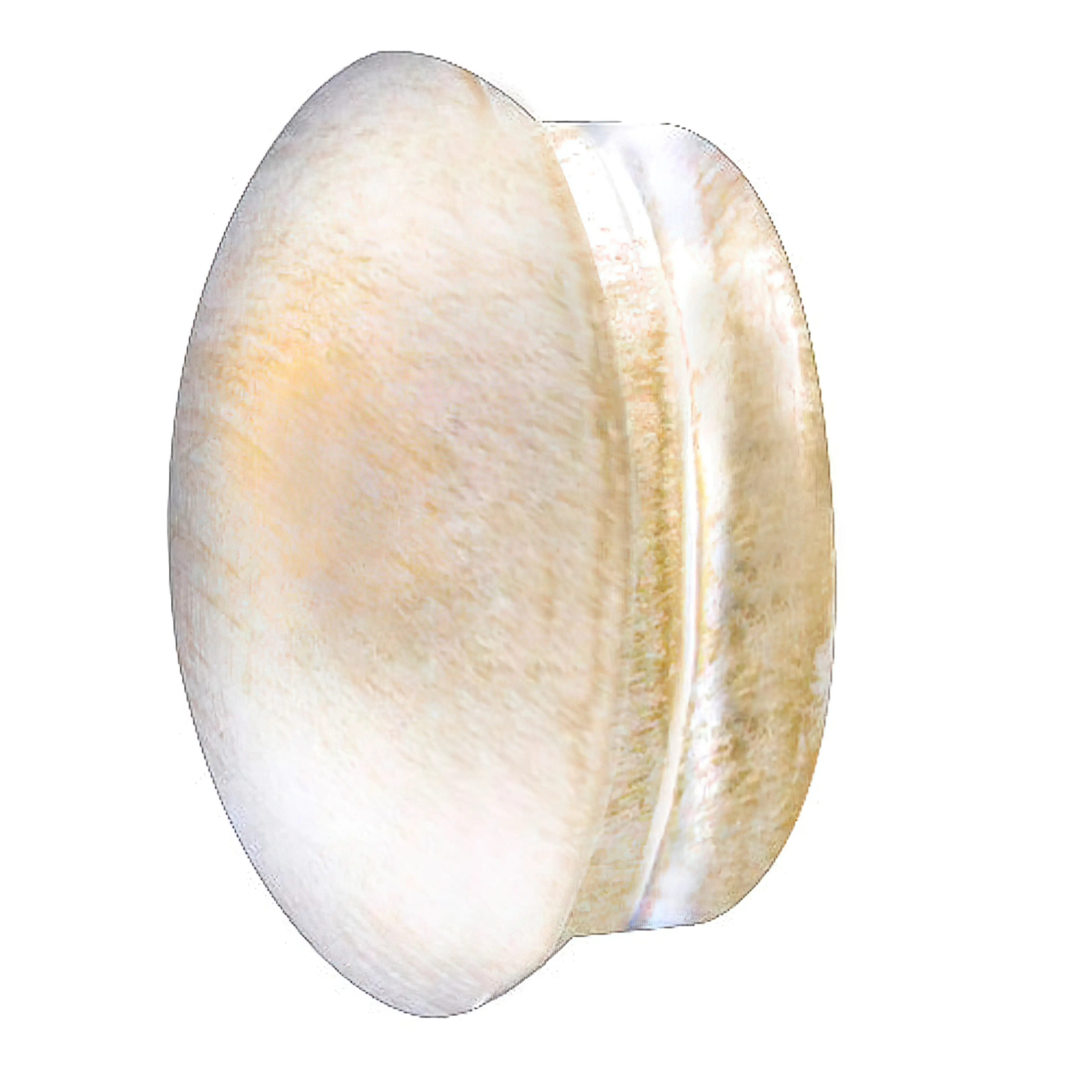 TERMINAL FORJA TAPON Ø 20 MM. MARFI