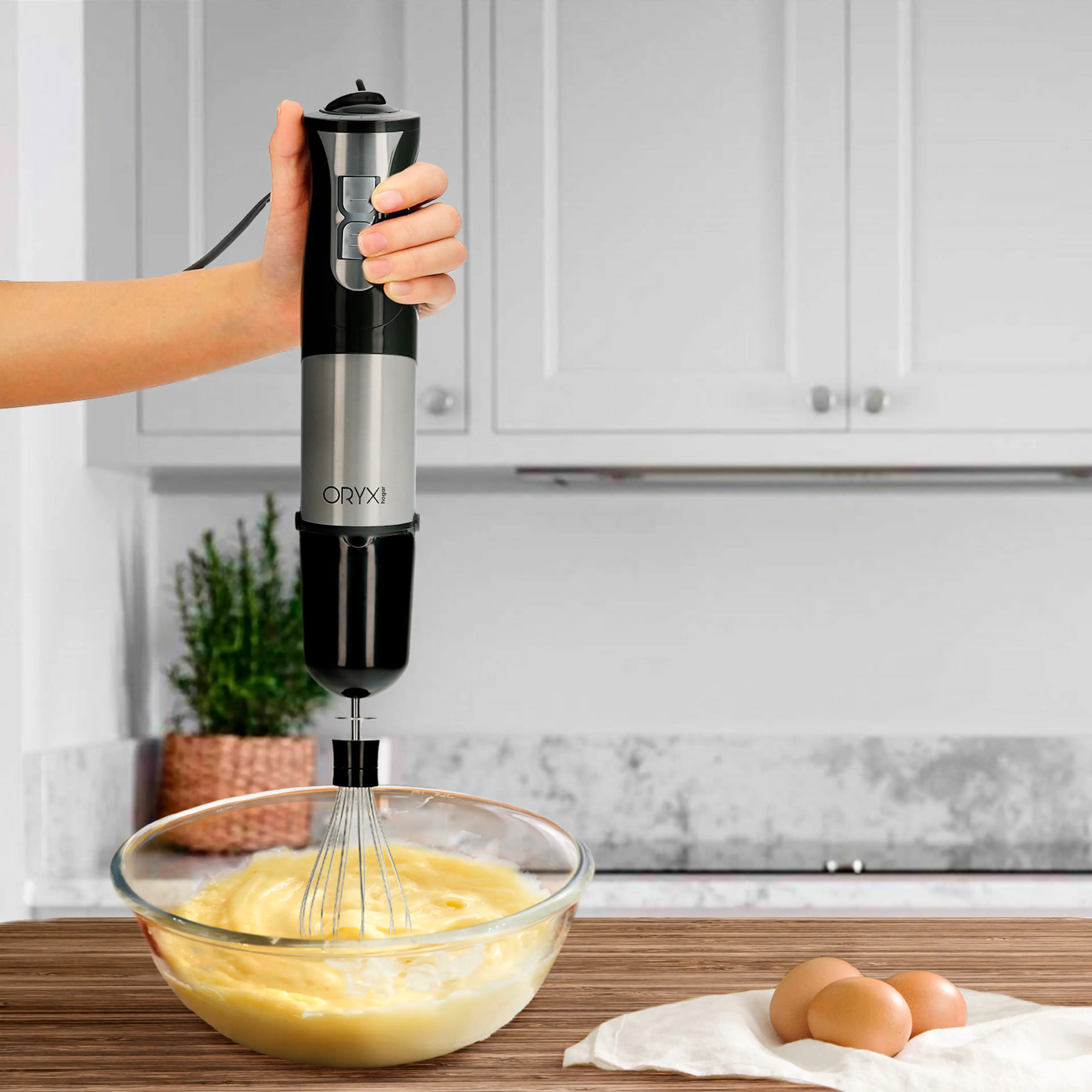 BATIDORA DE MANO 1000 W. CON ACCESO