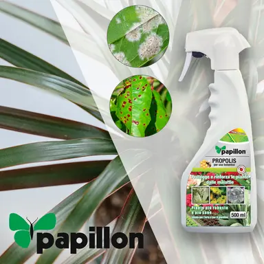 PROPOLIS PARA HONGOS Y BACTERIAS 50