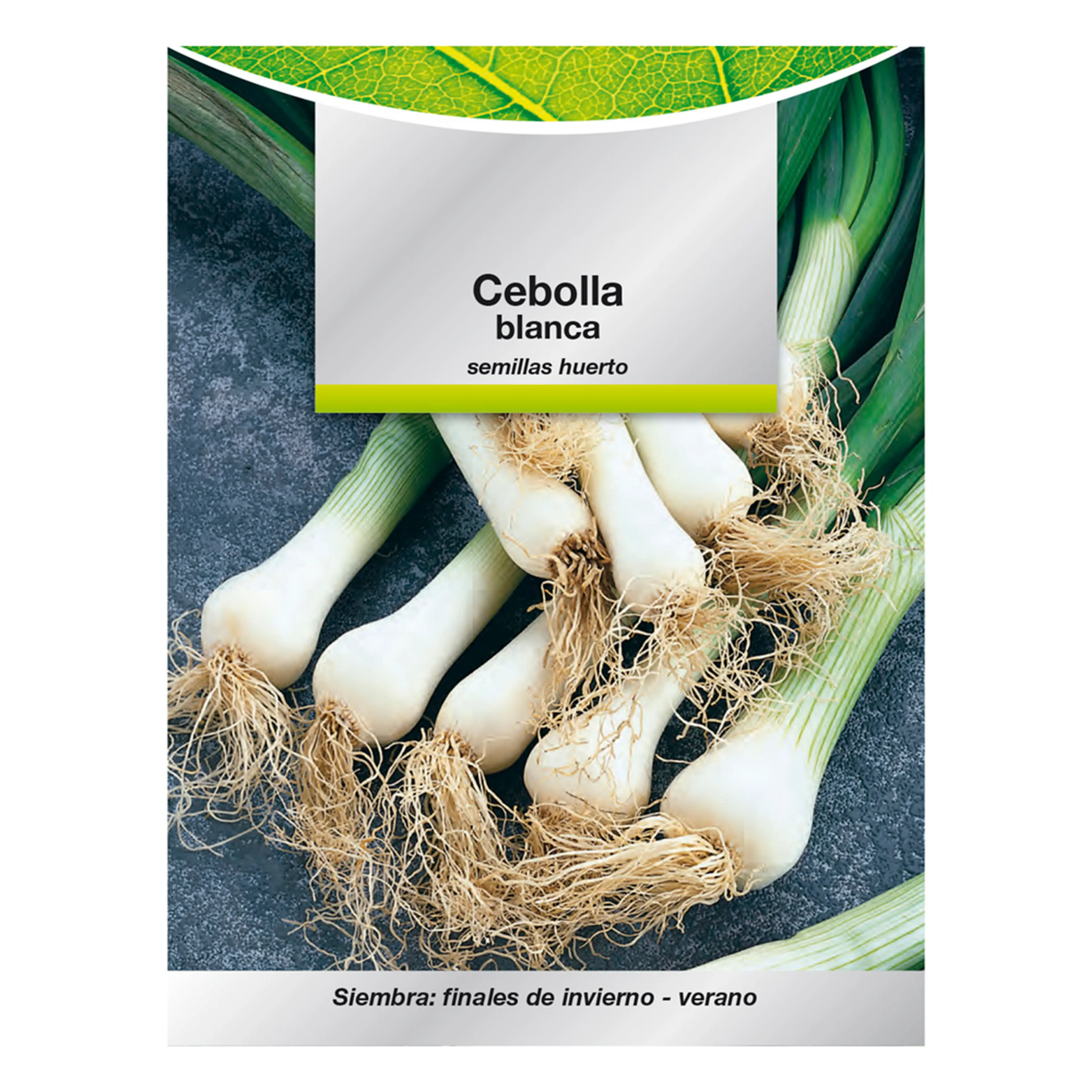 SEMILLAS CEBOLLA BLANCA (4 GRAMOS)