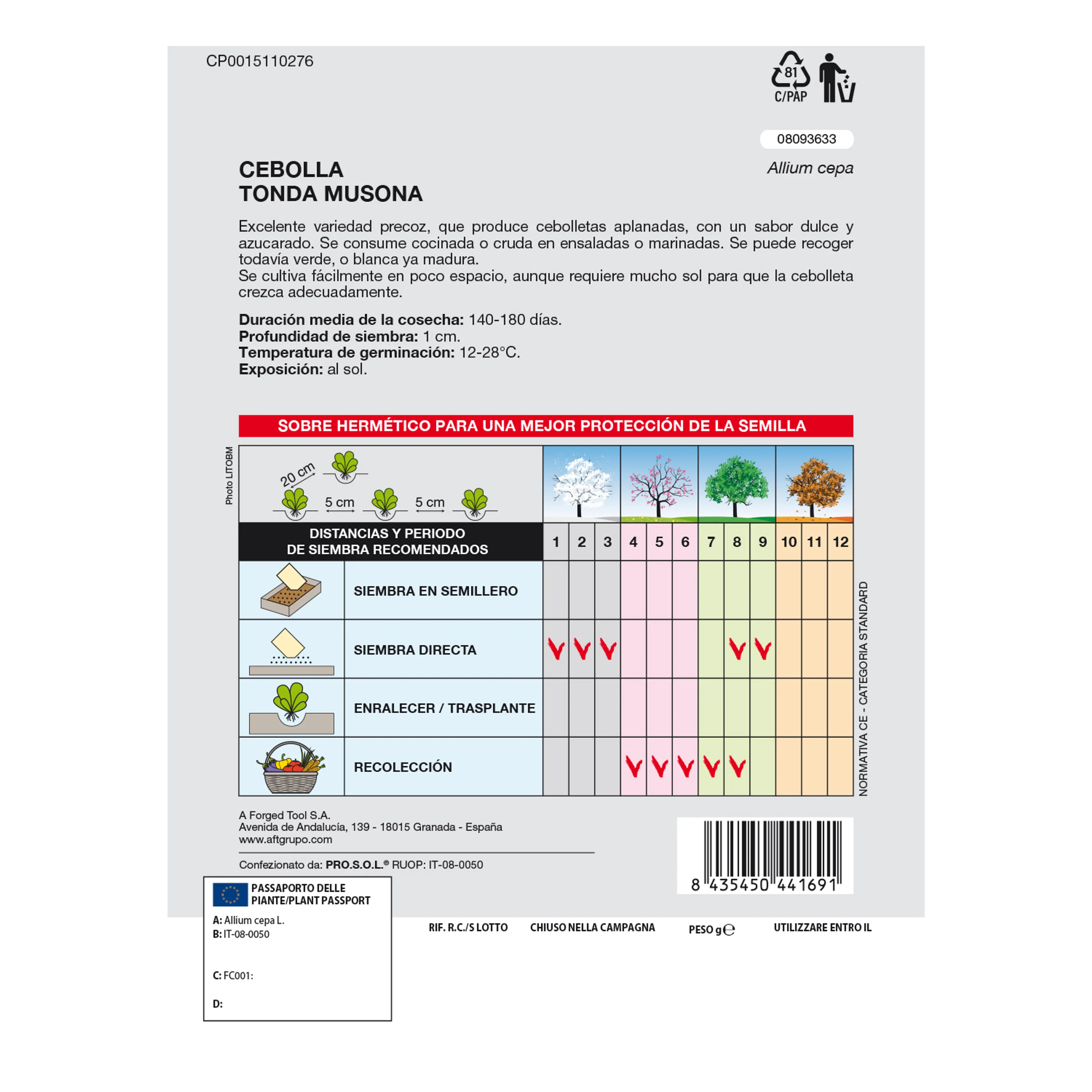 SEMILLAS CEBOLLA BLANCA (4 GRAMOS)