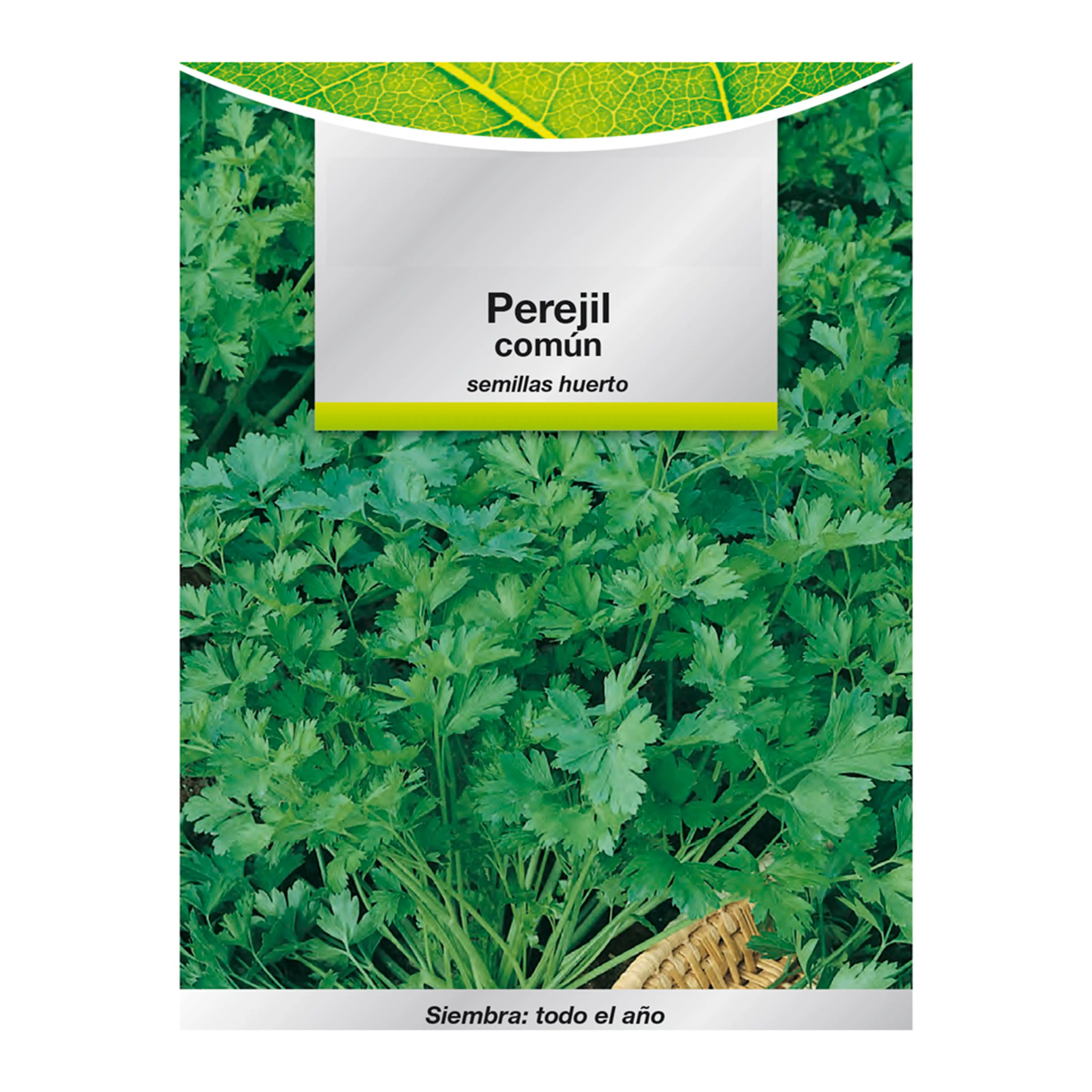 SEMILLAS PEREJIL COMUN (8 GRAMOS)