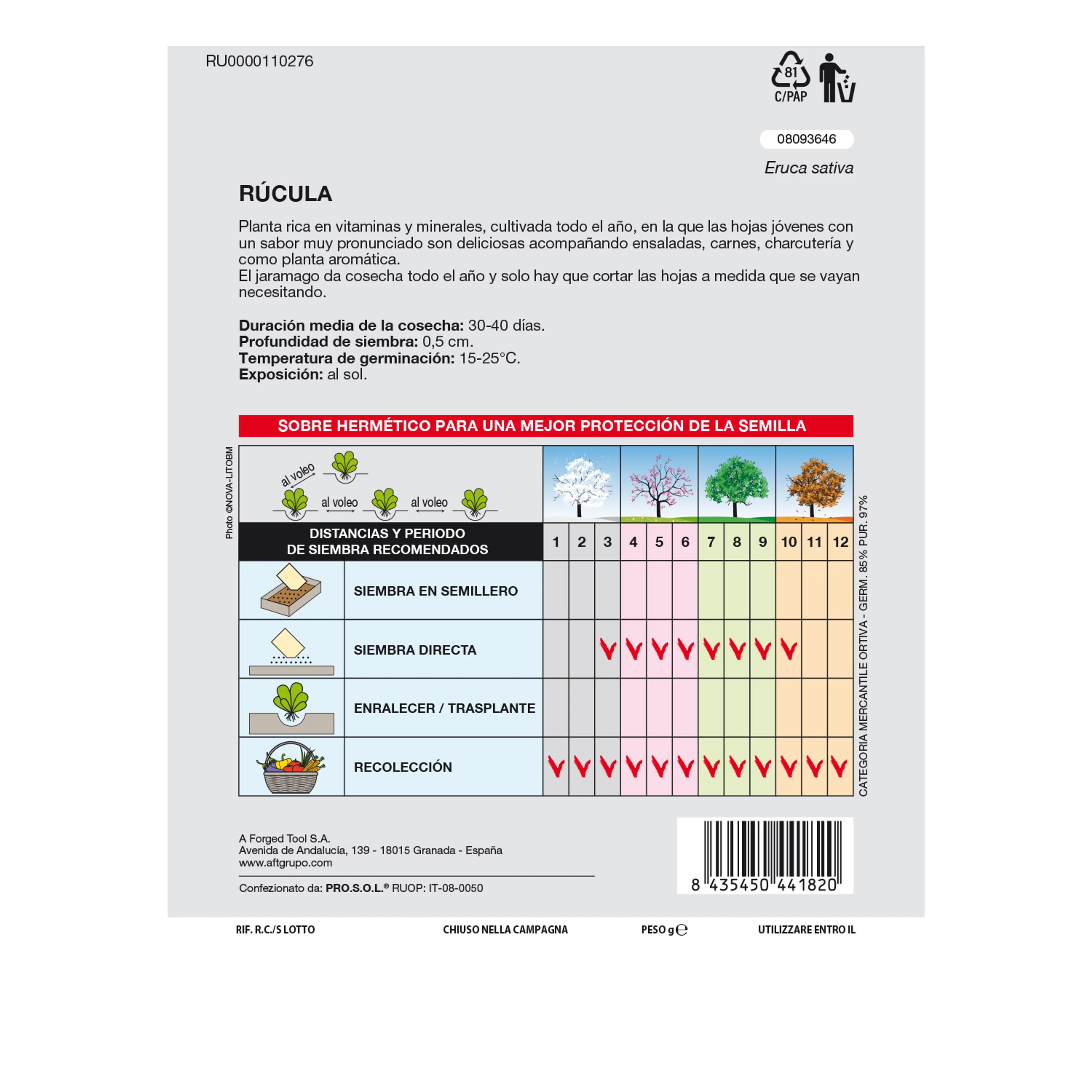 SEMILLAS RUCULA (9 GRAMOS)