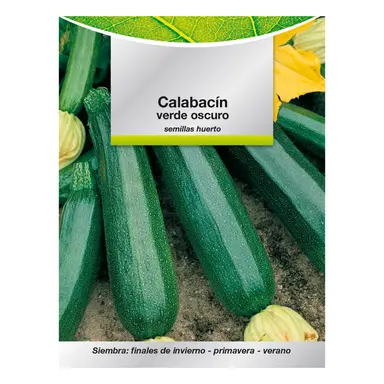 SEMILLAS CALABACIN VERDE OSCURO (5 
