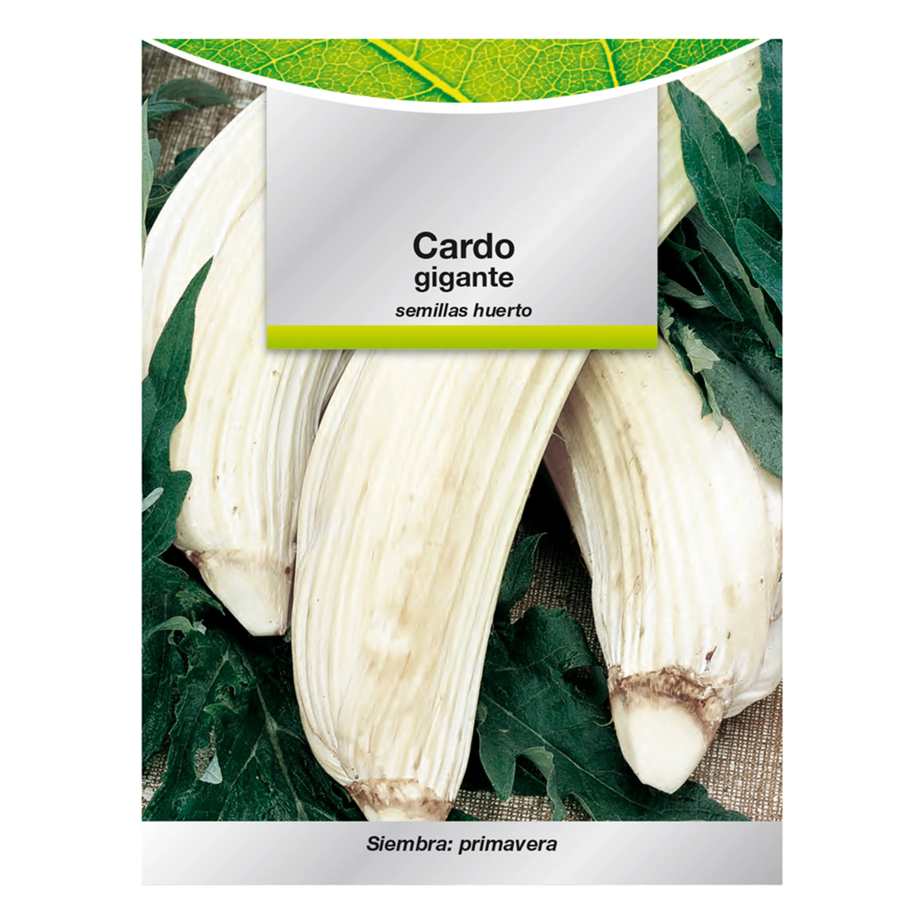 SEMILLAS HUERTO CARDO