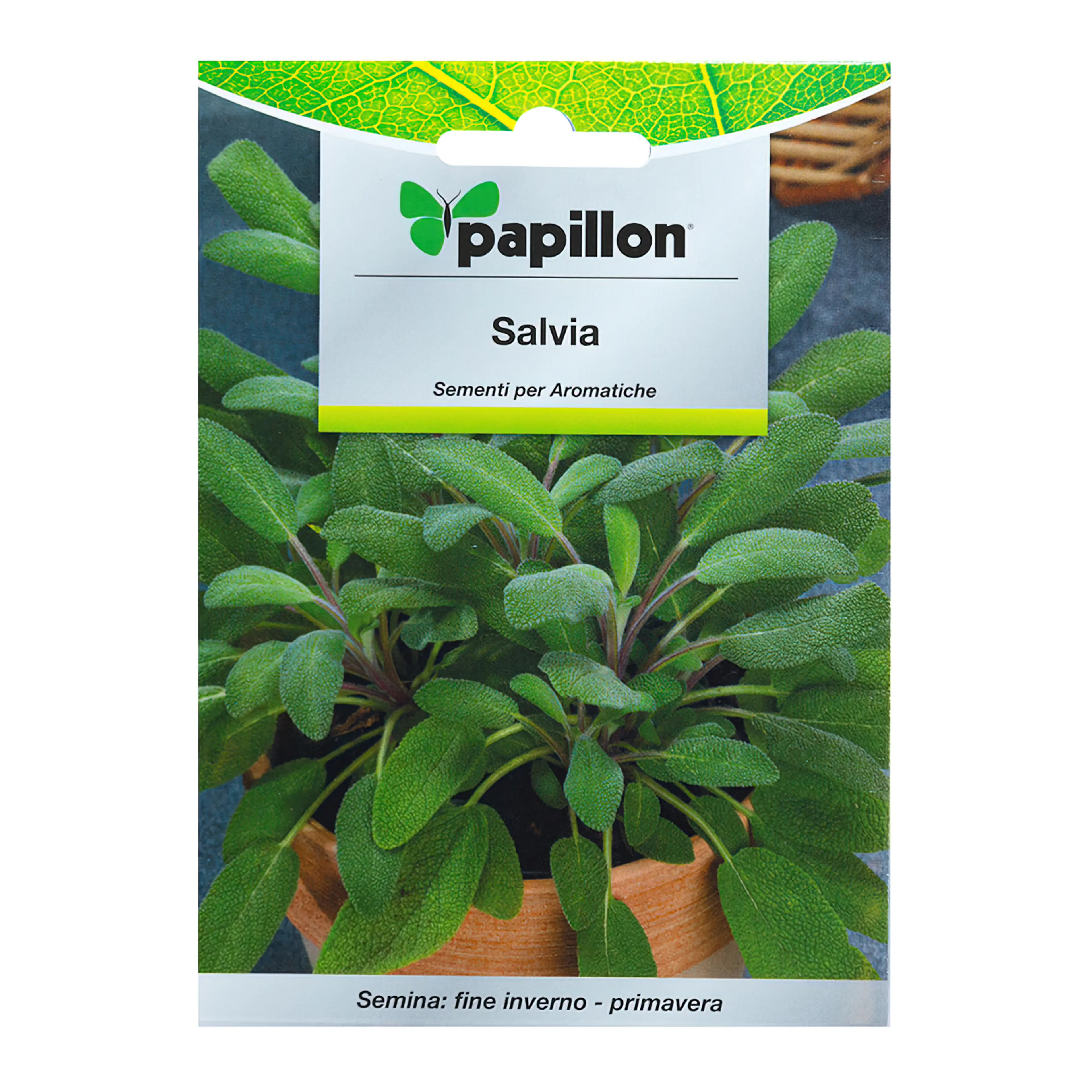 SEMILLAS AROMATICAS SALVIA (1 GRAMO