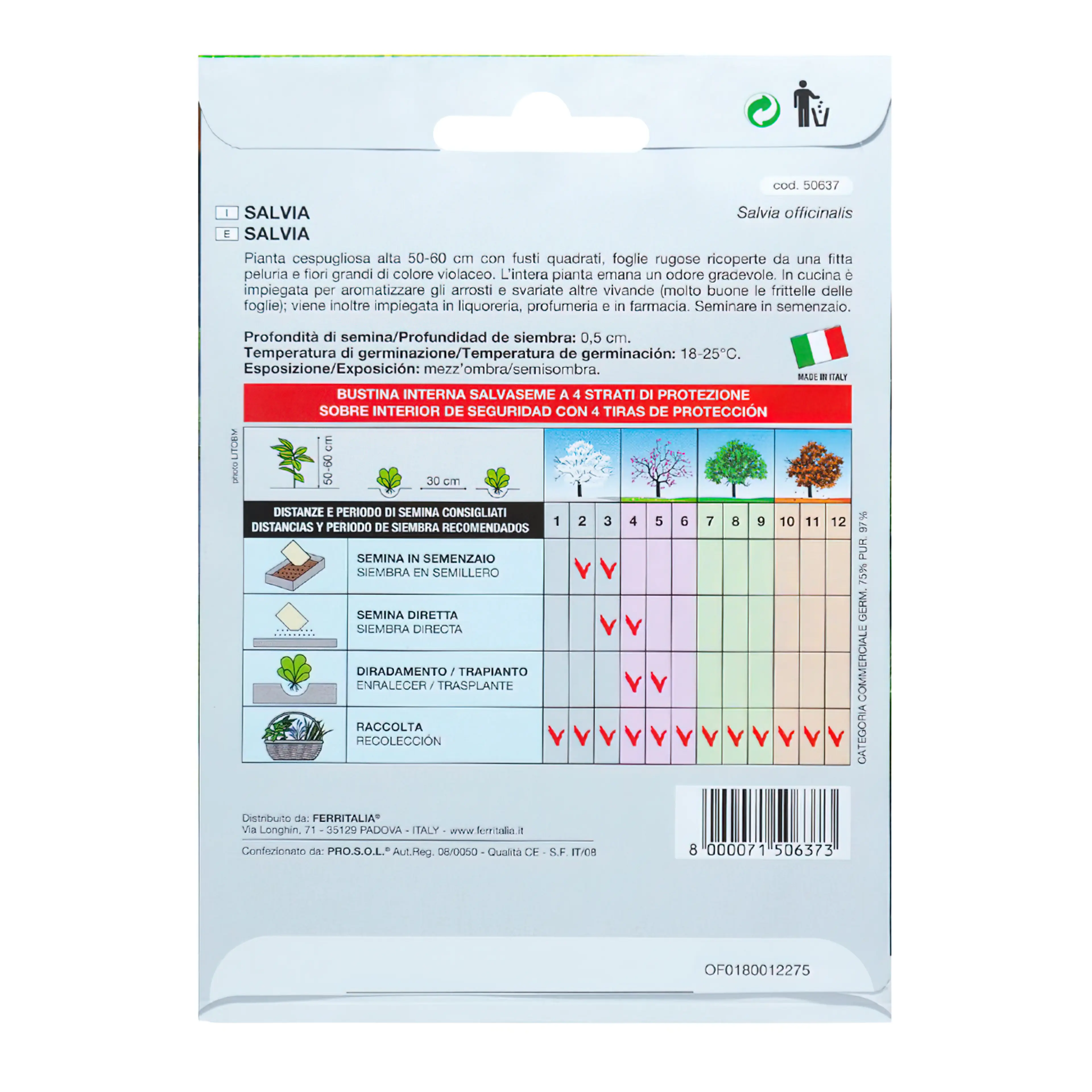 SEMILLAS AROMATICAS SALVIA (1 GRAMO