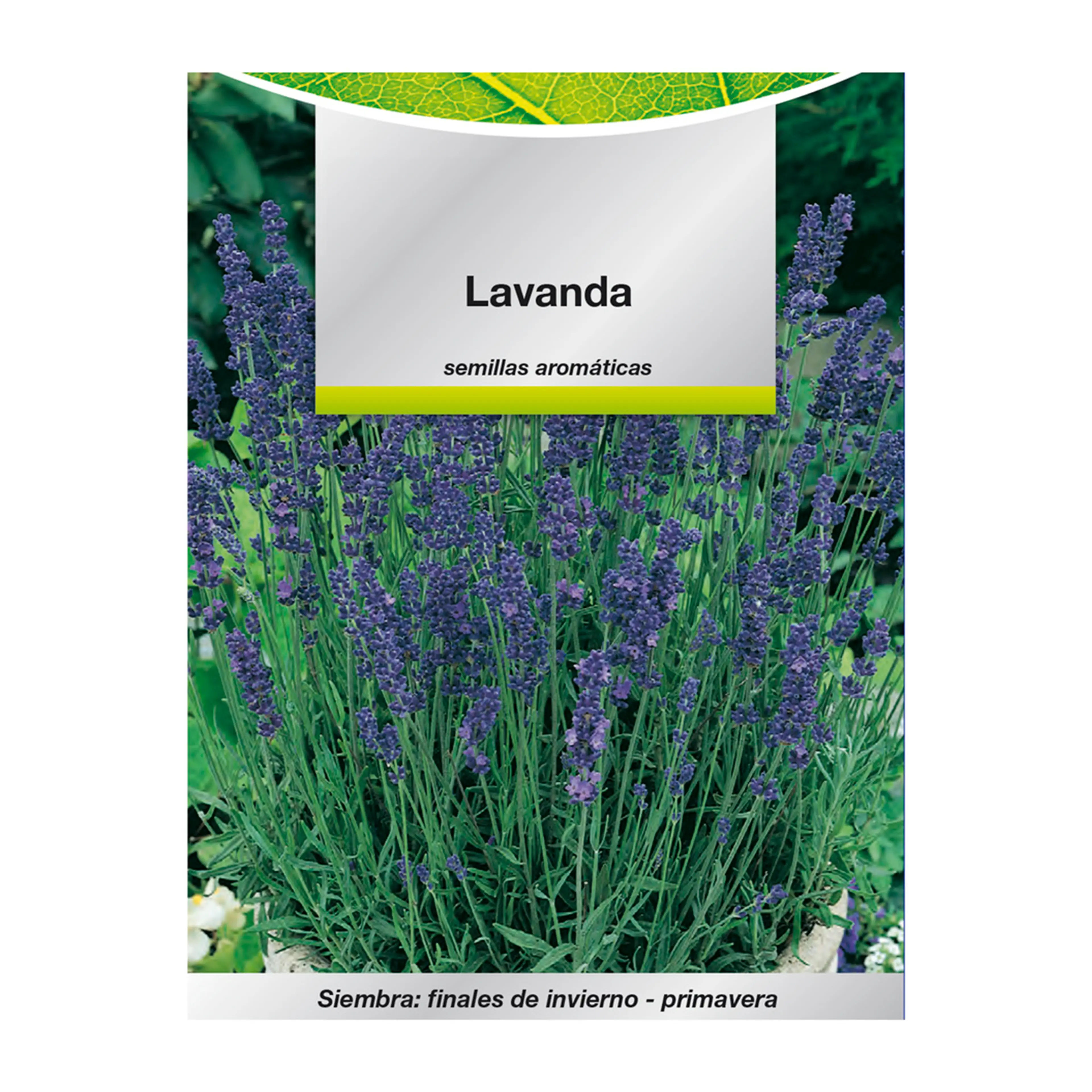 SEMILLAS AROMATICAS LAVANDA (0.5 GR
