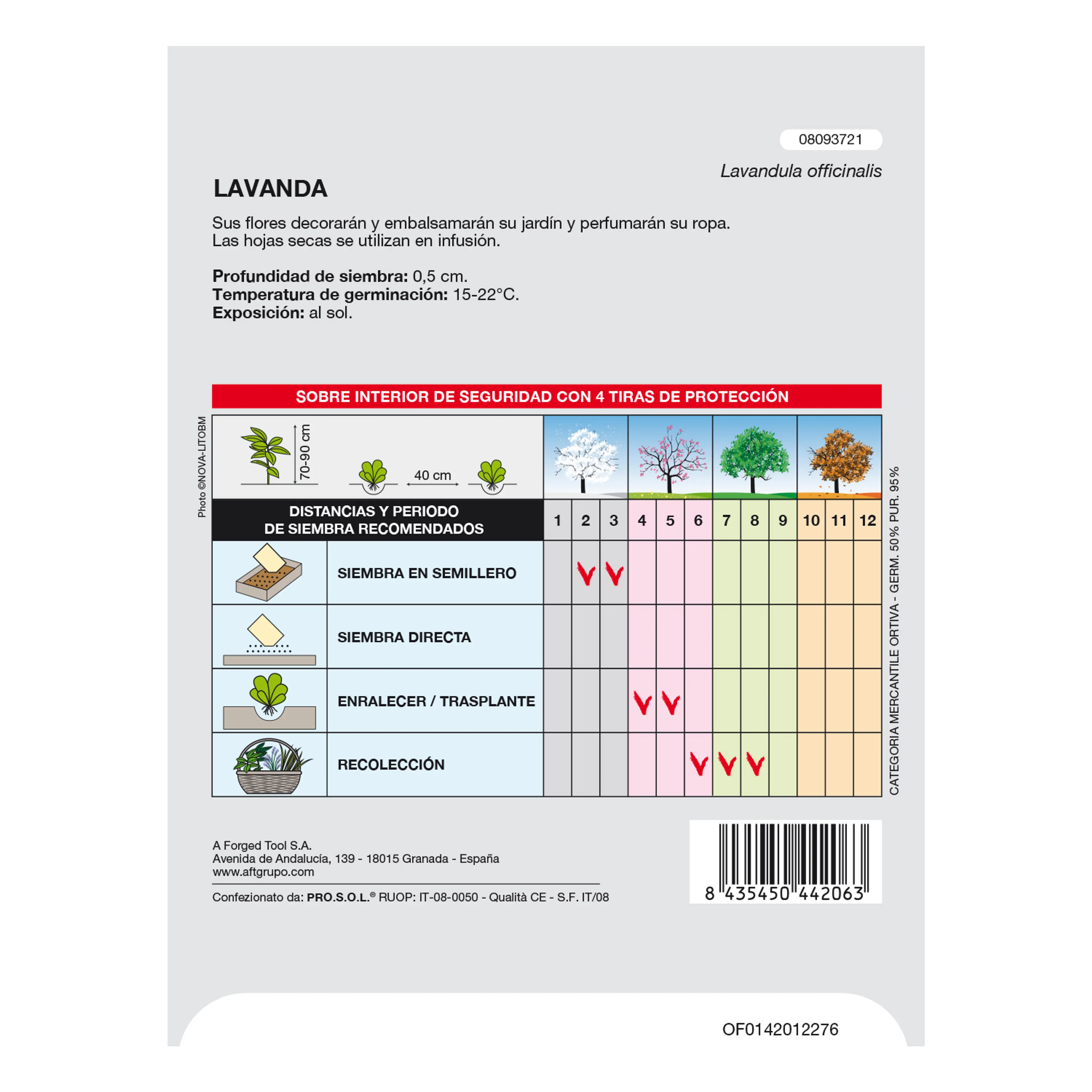 SEMILLAS AROMATICAS LAVANDA (0.5 GR