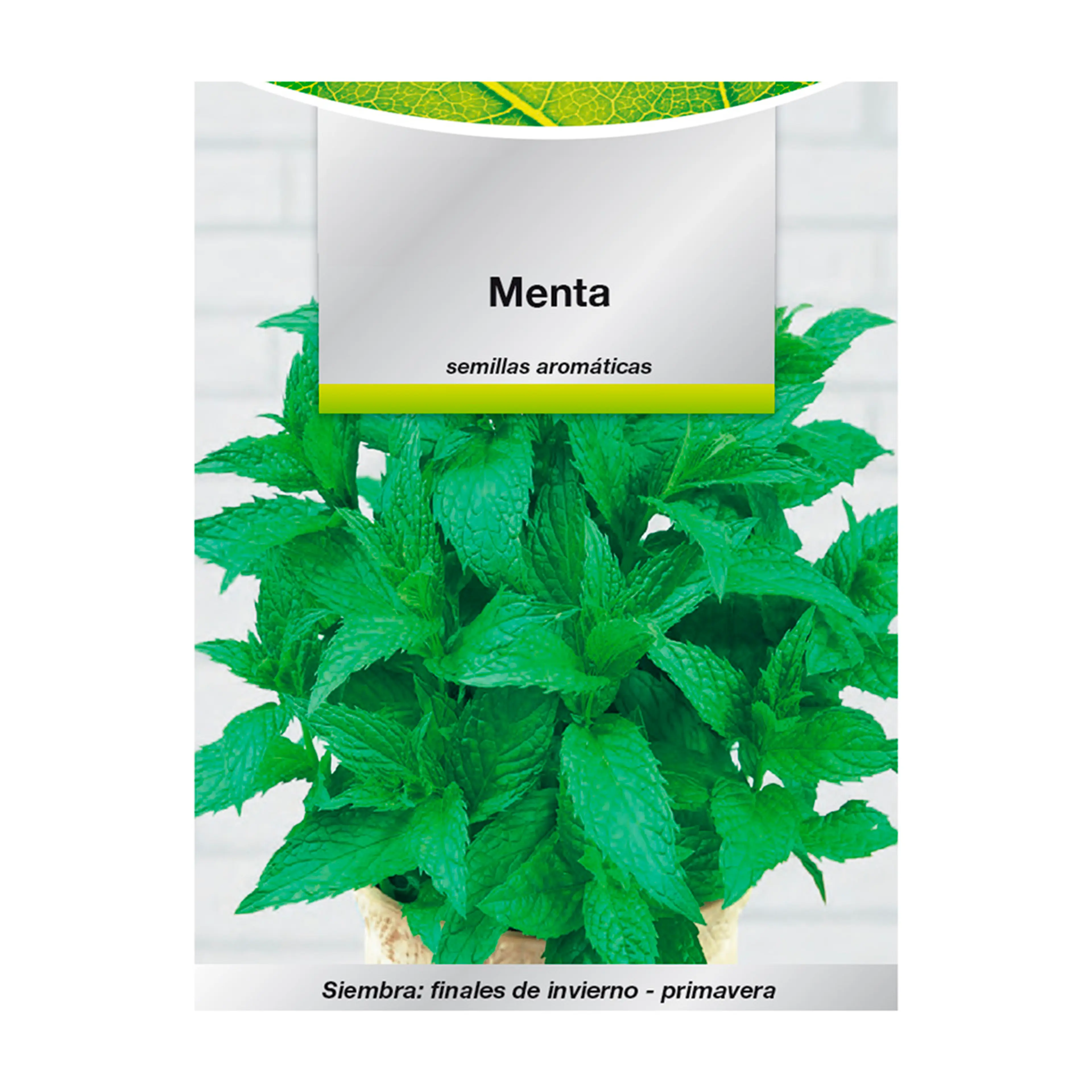 SEMILLAS AROMATICAS MENTA (0.3 GRAM