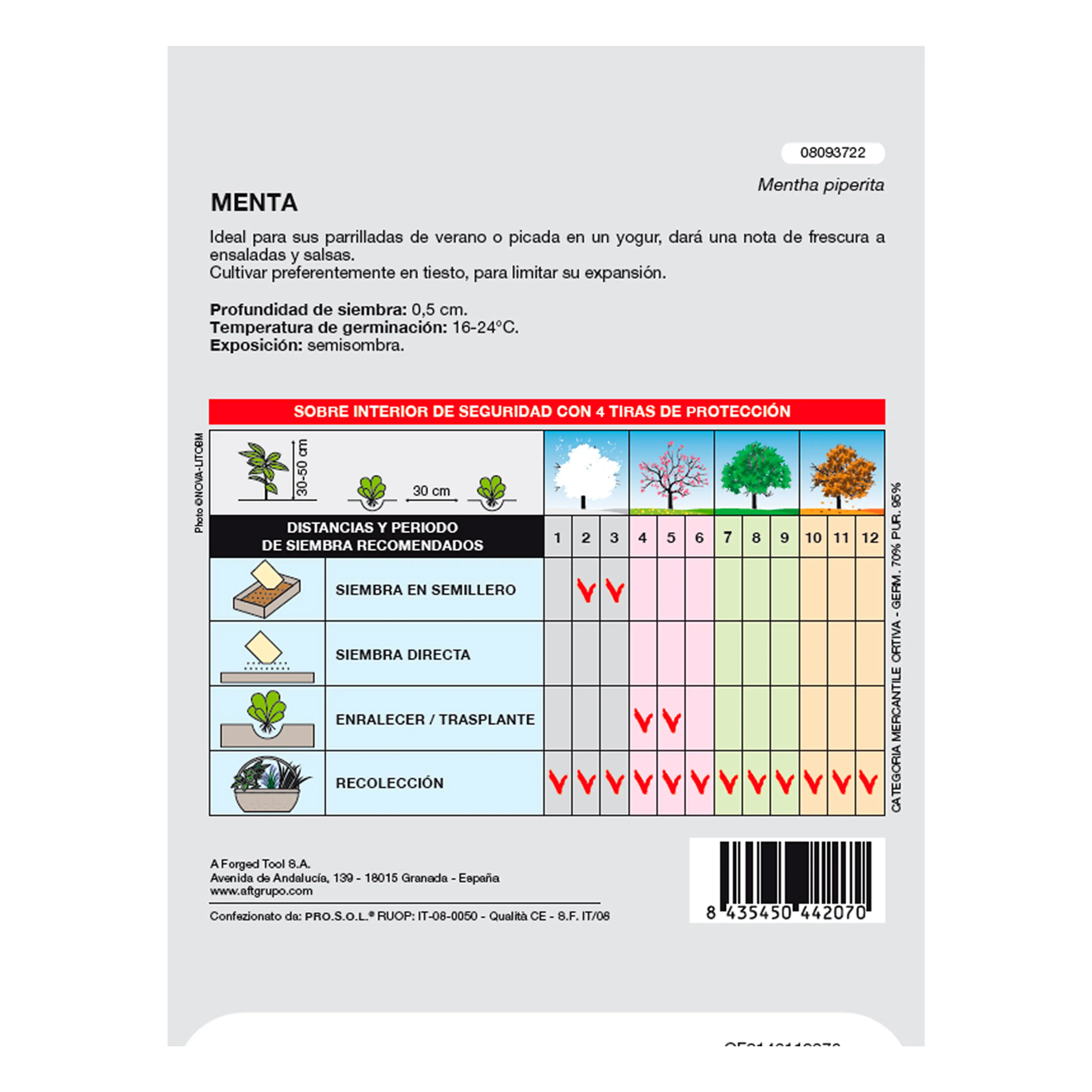 SEMILLAS AROMATICAS MENTA (0.3 GRAM