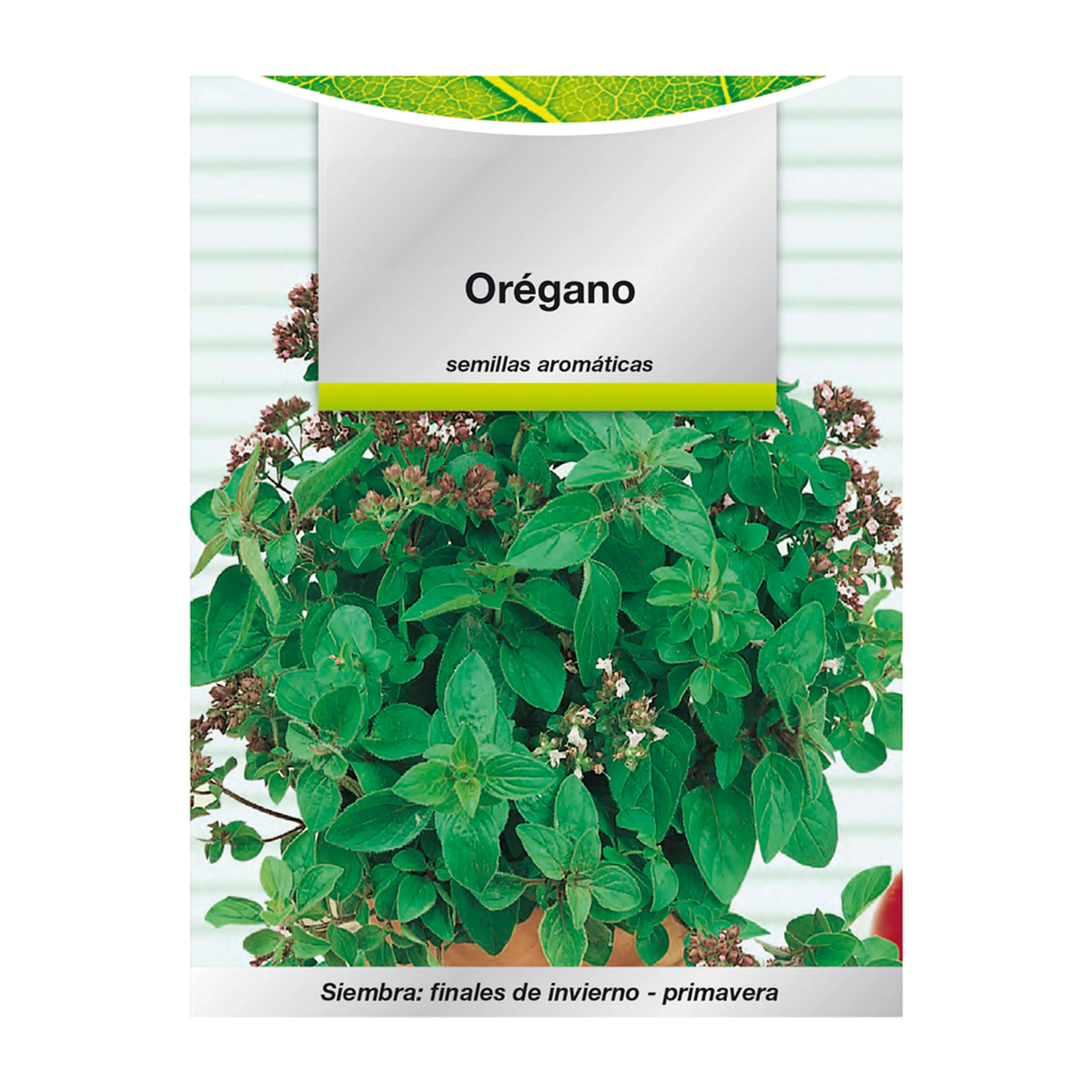 SEMILLAS AROMATICAS OREGANO (0.3 GR