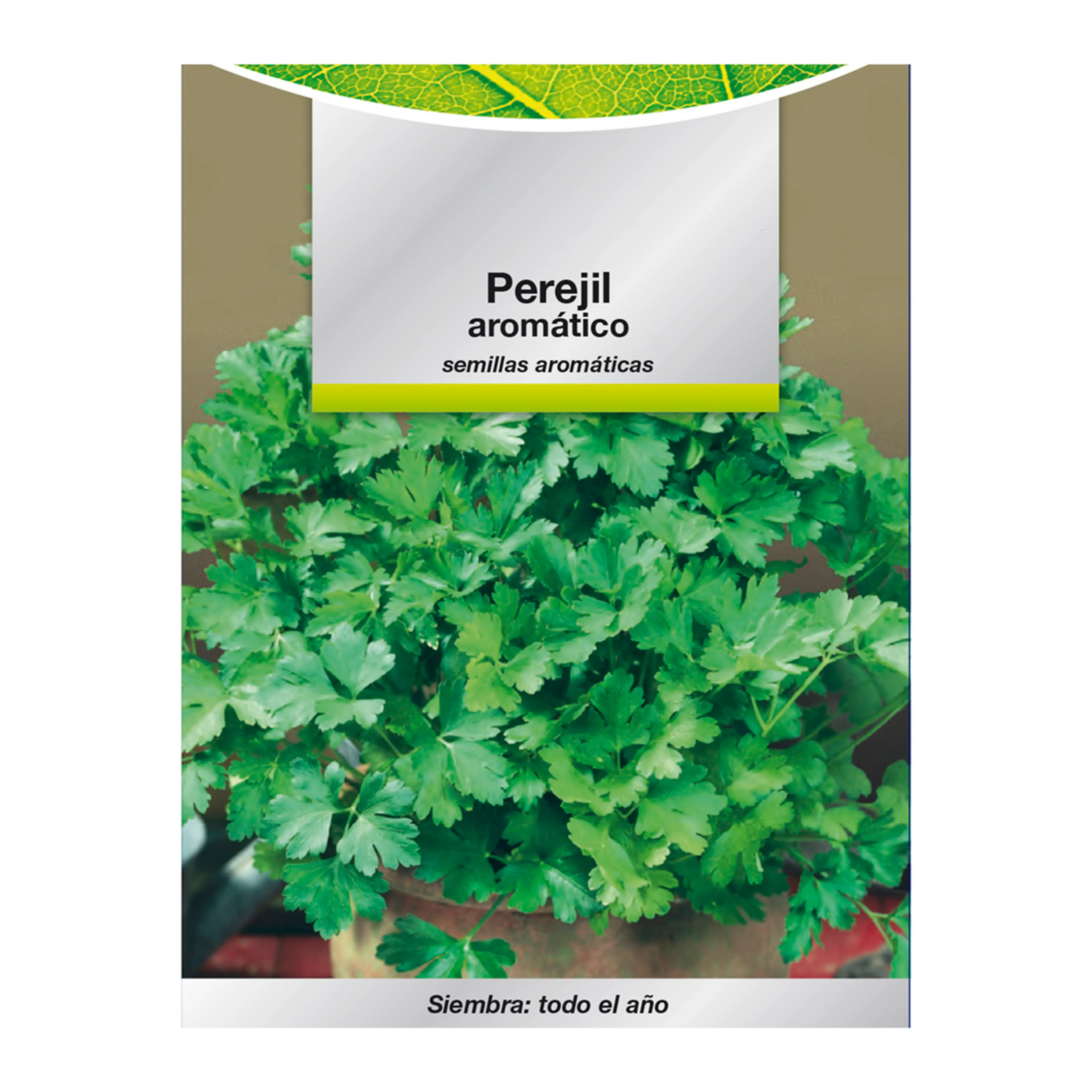 SEMILLAS AROMATICAS PEREJIL AROMATI