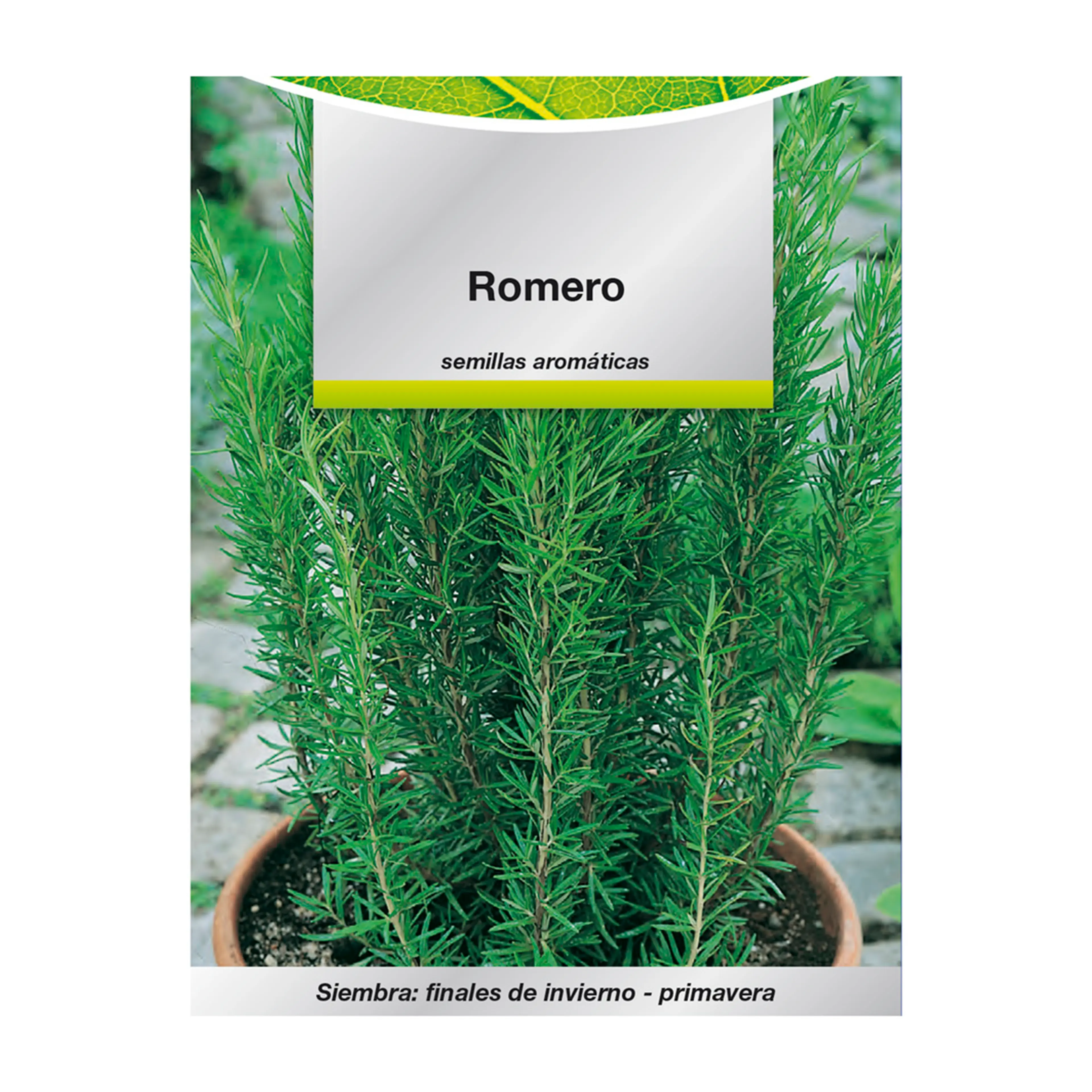 SEMILLAS AROMATICAS ROMERO (0.1 GRA