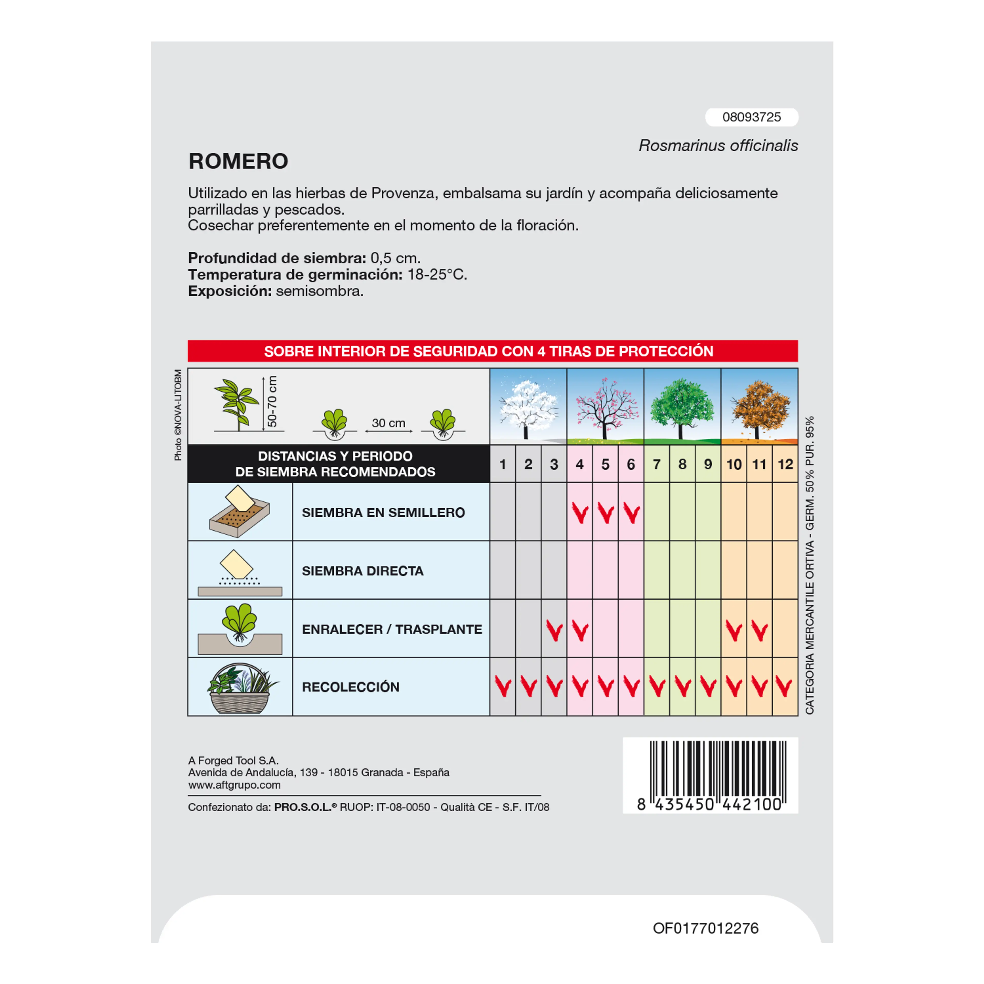 SEMILLAS AROMATICAS ROMERO (0.1 GRA