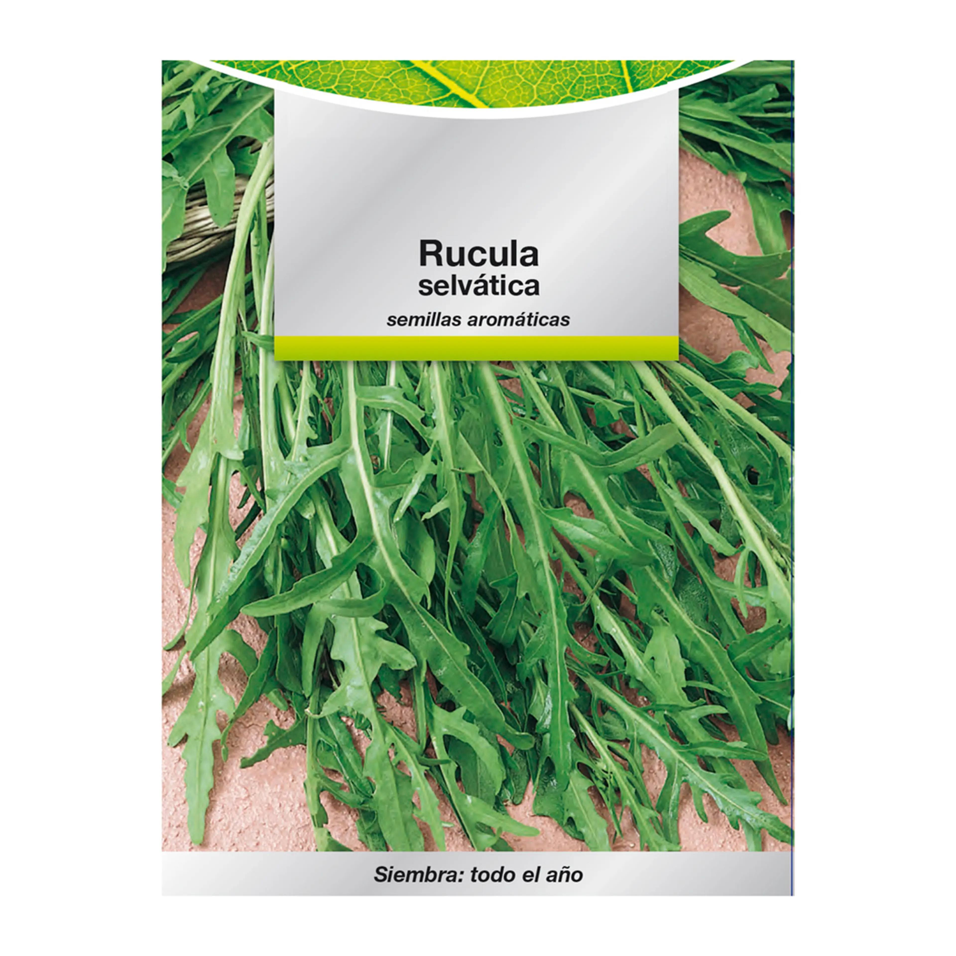 SEMILLAS AROMATICAS RUCULA SELVATIC