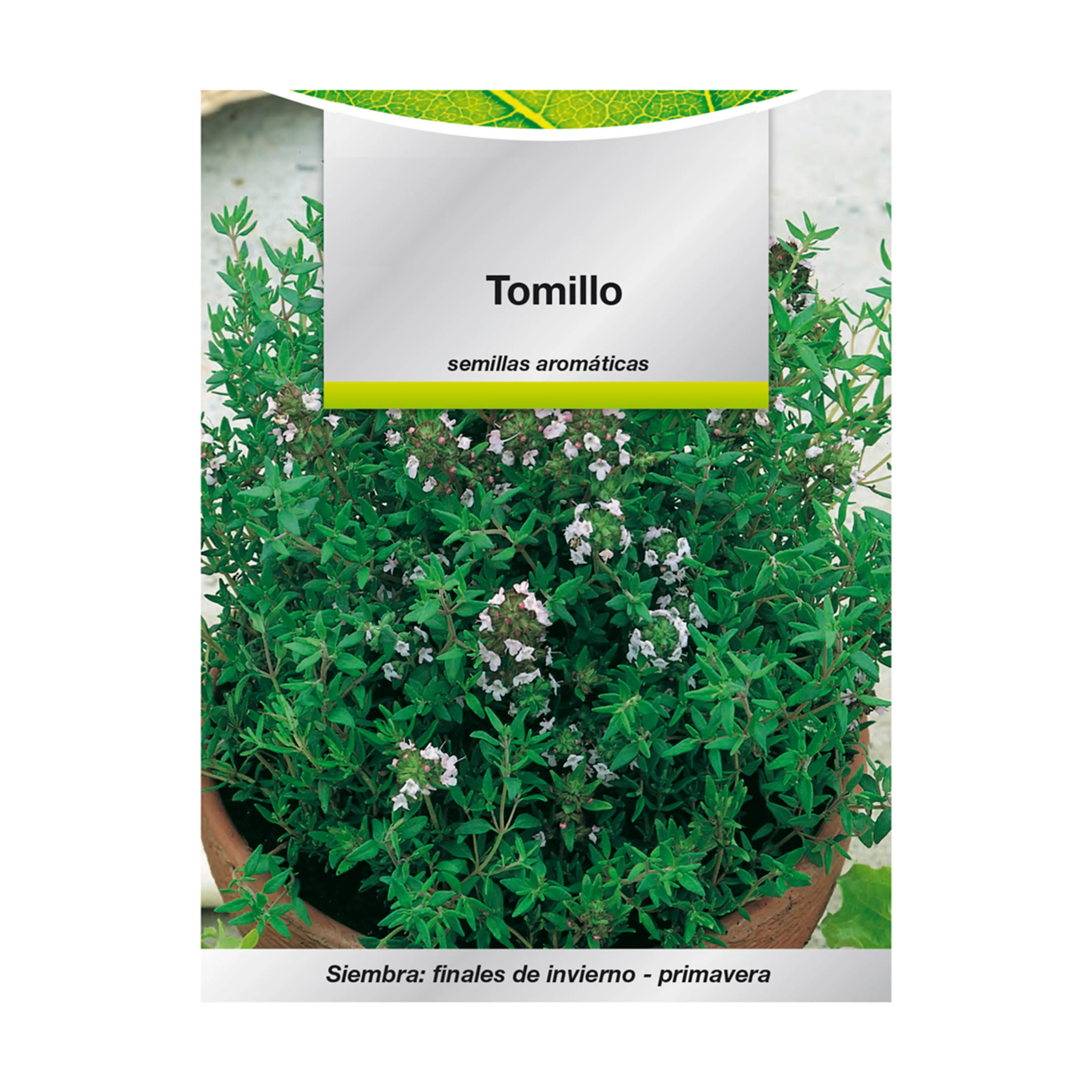 SEMILLAS AROMATICAS TOMILLO (1 GRAM