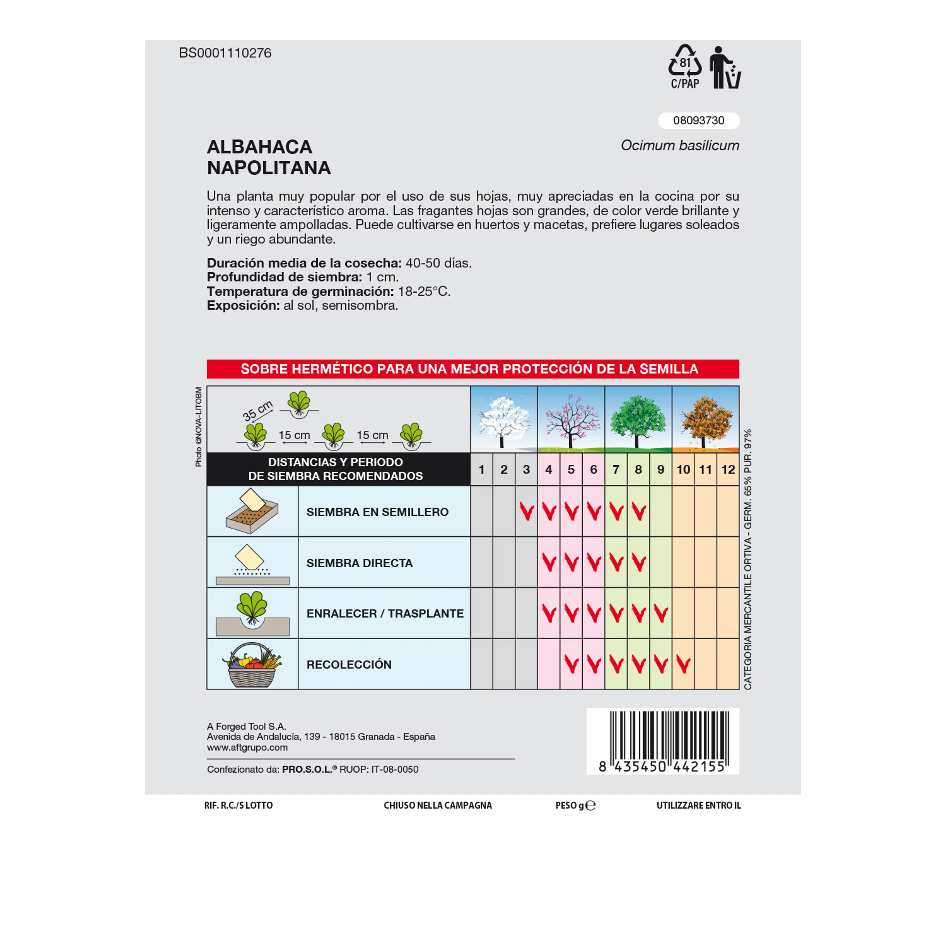 SEMILLAS AROMÁTICAS ALBAHACA GIGANT