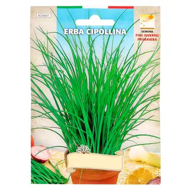 SEMILLAS AROMATICAS CEBOLLINO (1 GR