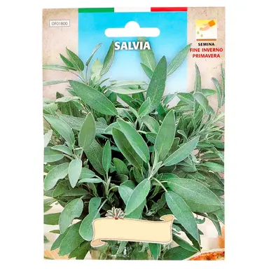 SEMILLAS AROMATICAS SALVIA (1 GRAMO
