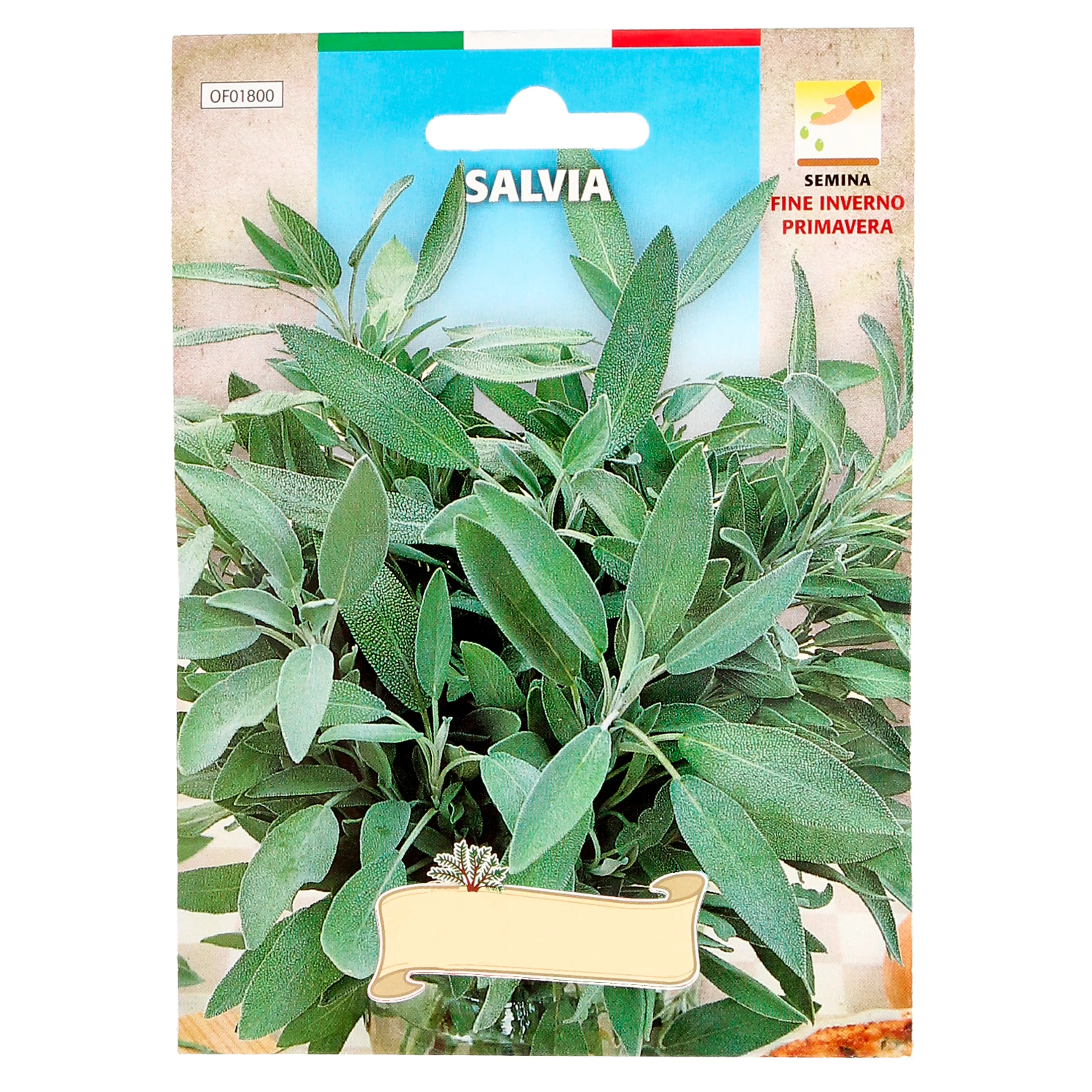 SEMILLAS AROMATICAS SALVIA (1 GRAMO