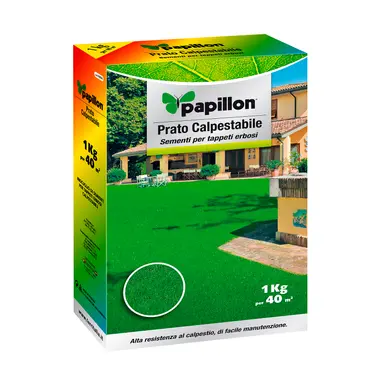 SEMILLAS CESPED ALTA RESISTENCIA 1 