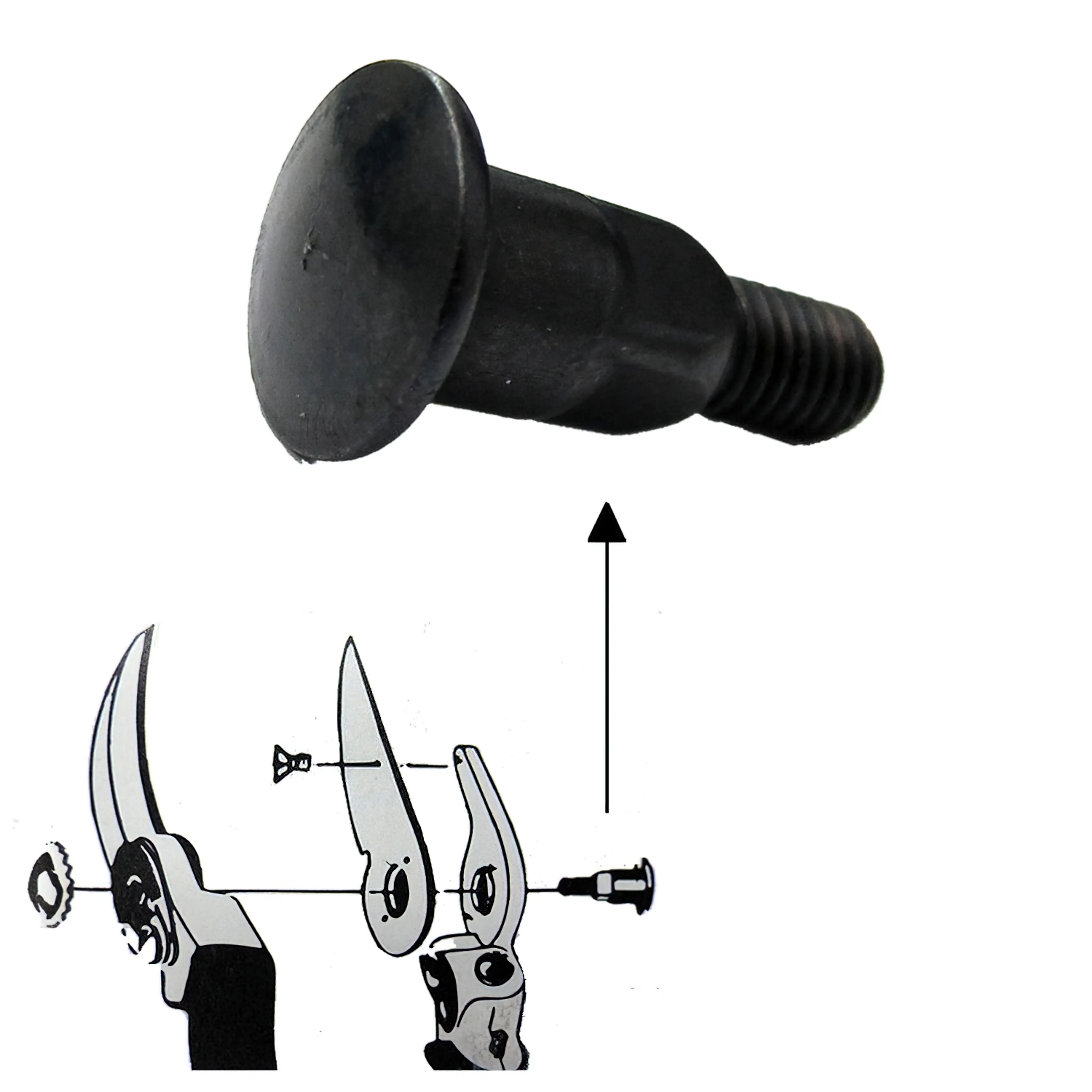 TORNILLO RECAMBIO TIJERA SAMURAI CE