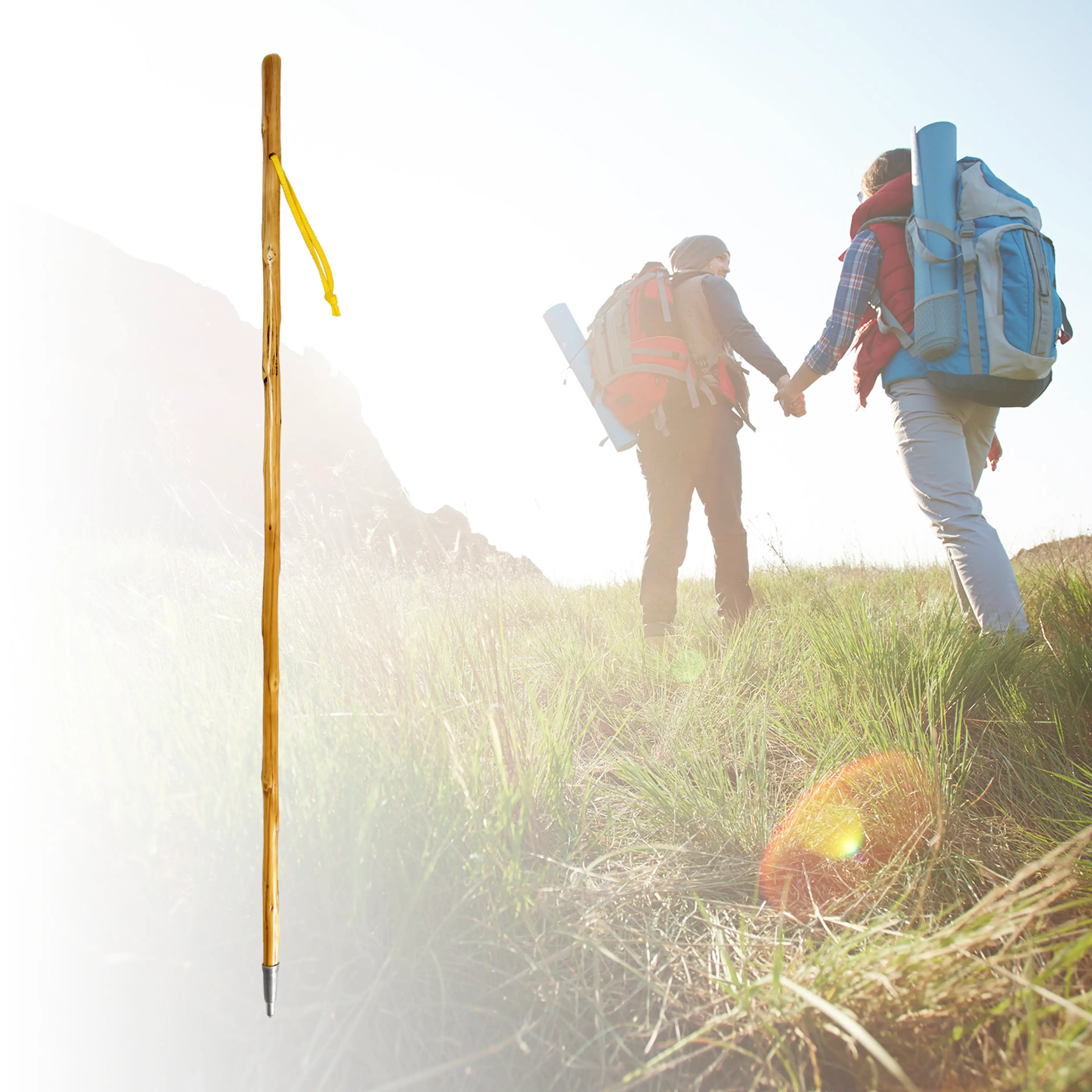 BASTON BORDON CAMINAR 1,00 METRO CO