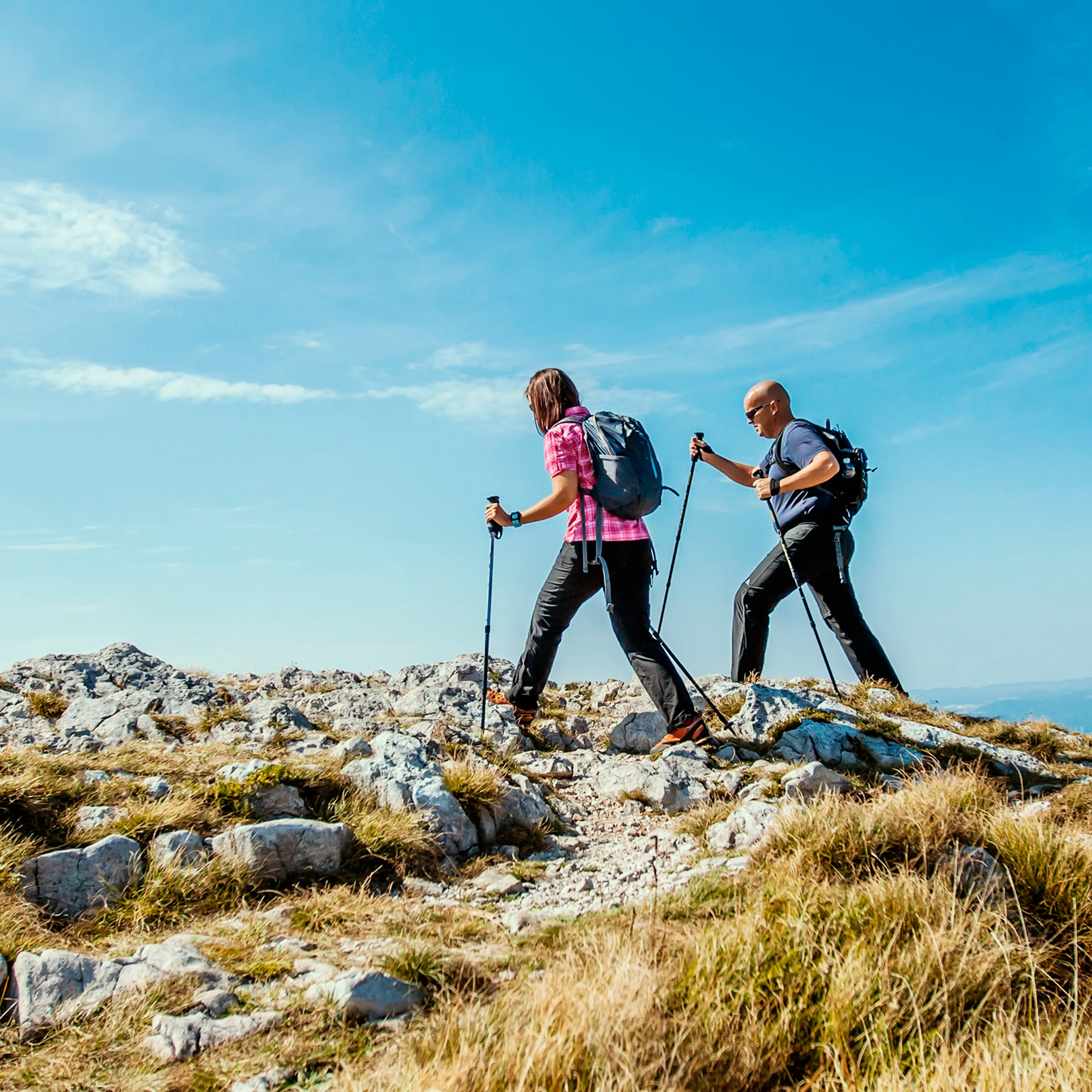 BASTON BORDON CAMINAR EXTENSIBLE 0,