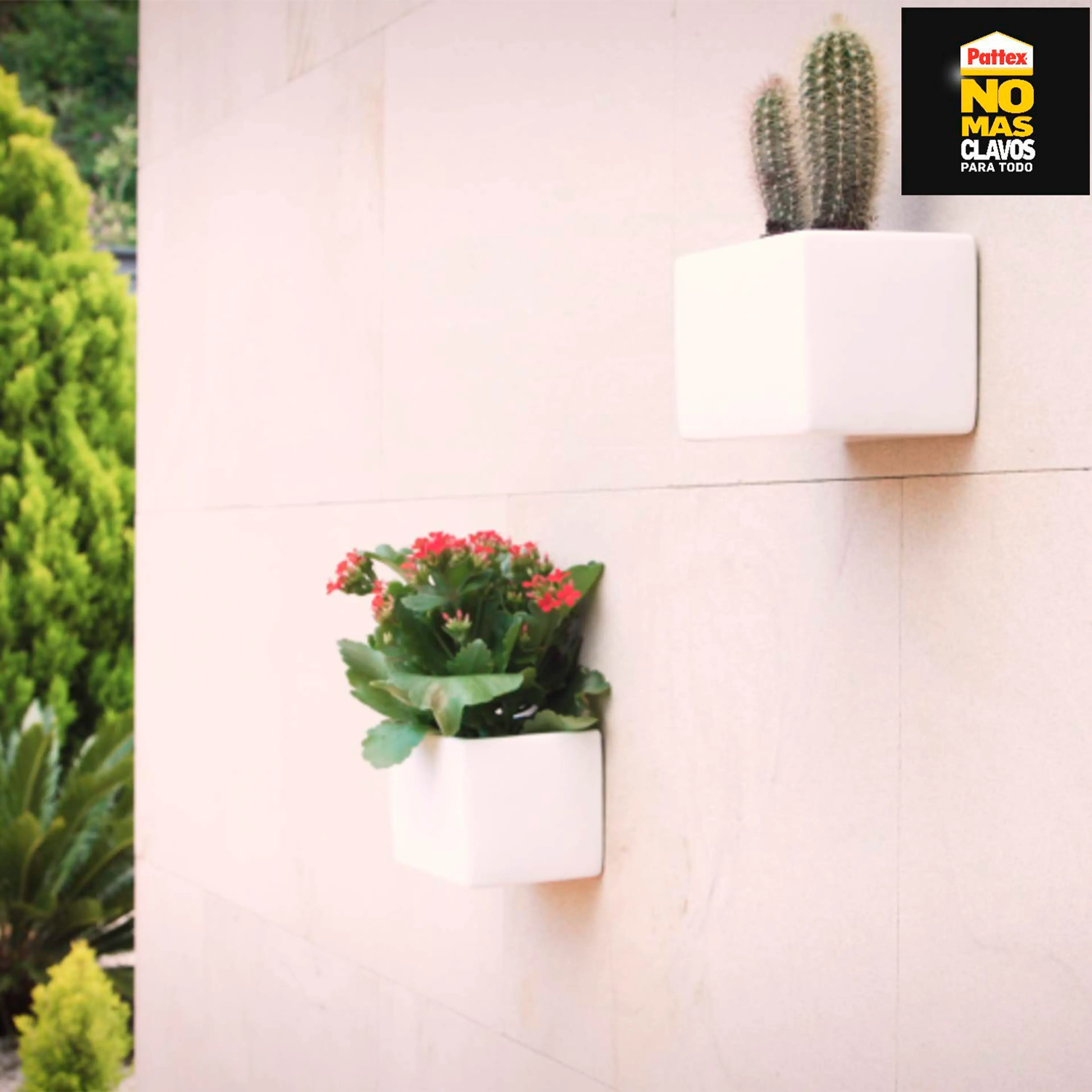 NURAL PATTEX NO MAS CLAVOS PARA TOD